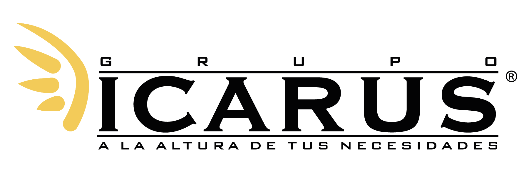 Grupo Icarus