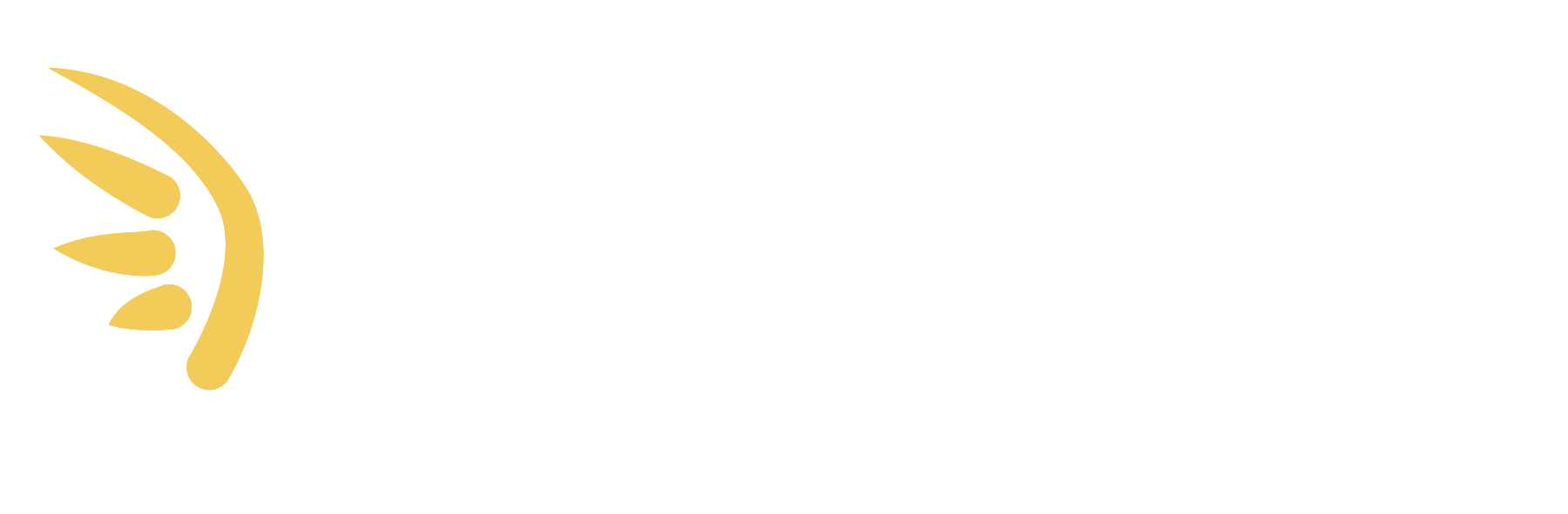 Grupo Icarus
